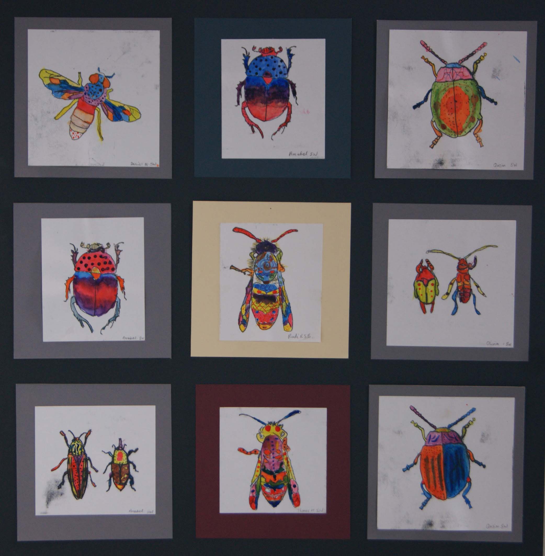 Bug Life Holme Grange Ages 9-10